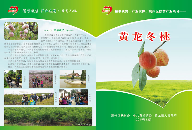 黄龙冬桃扶贫折页