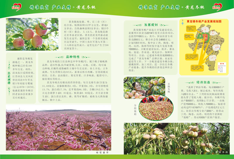 黄龙冬桃扶贫折页